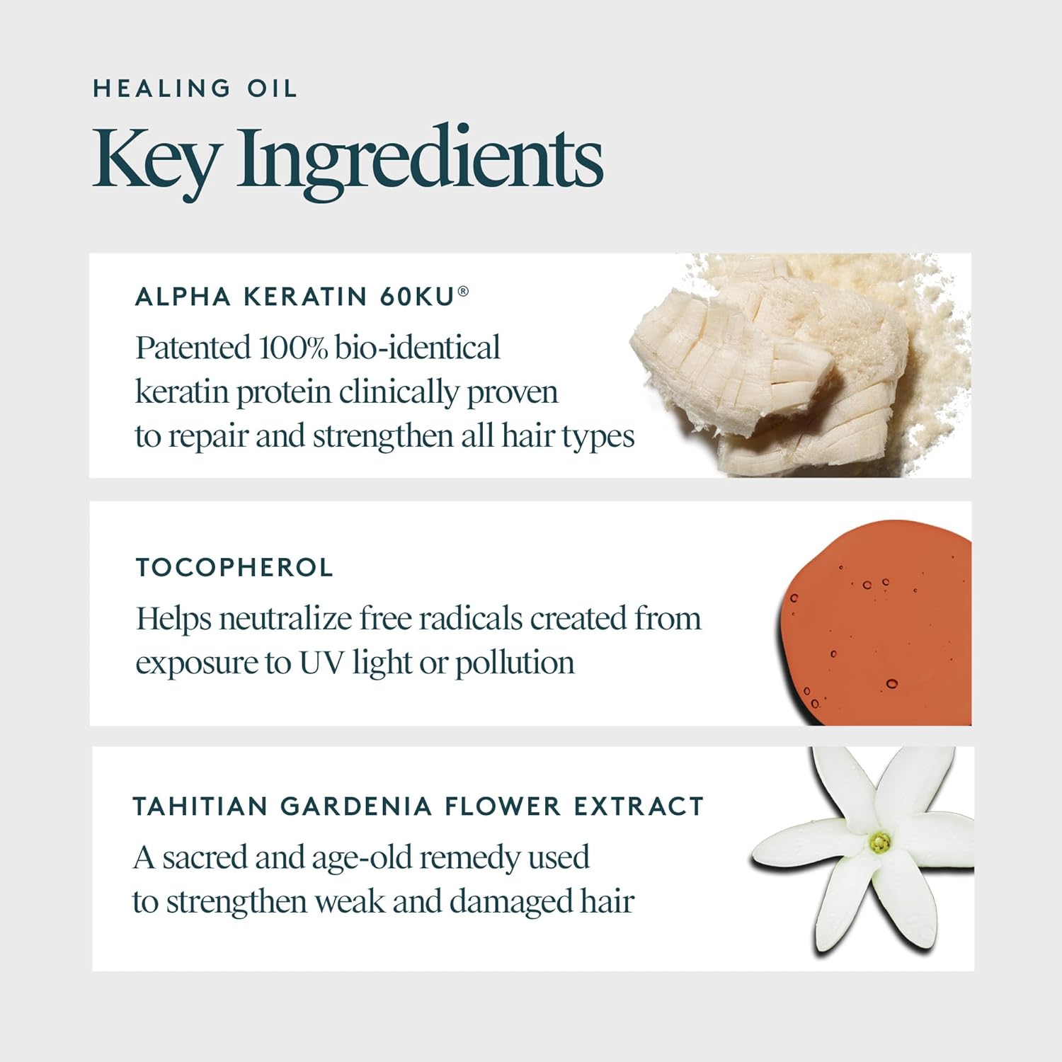 71dpgYrPujL._SL1500_